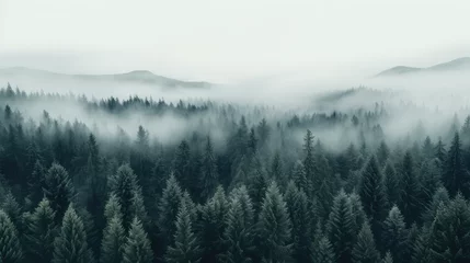 Fotobehang mist in the mountains © akarawit