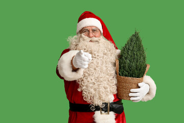 Santa Claus with Cypress tree pointing at viewer on green background