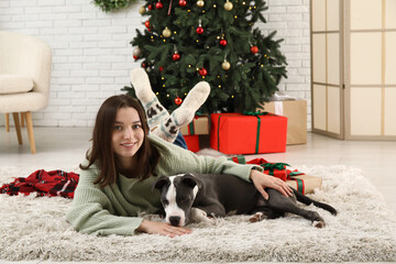 Beautiful young woman with cute Staffordshire Terrier puppy at home on Christmas eve