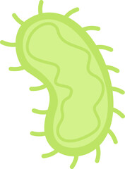 illustration of bacteria