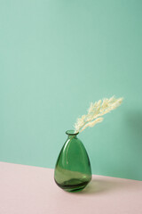 Glass vase of ivory dry flower on pink table. mint green wall background. minimal interior