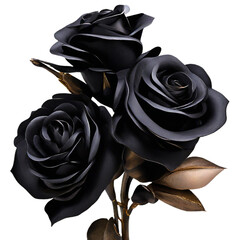 Black Rose Symbol of Romance and Beauty