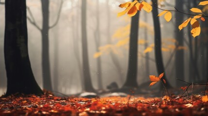 A dense forest beside a misty lake and beautiful yellow and red leaves. dramatic studio lighting and a shallow depth of field.