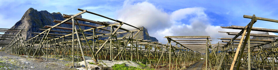 panorama of wooden  fish dryer on a fishing village Reine in Lofoten Islands, North Norway.