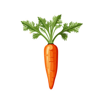 Carrot. Generative AI