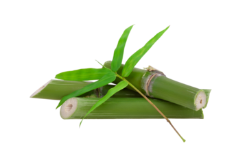 Natural bamboo and leaf isolated on transparent png