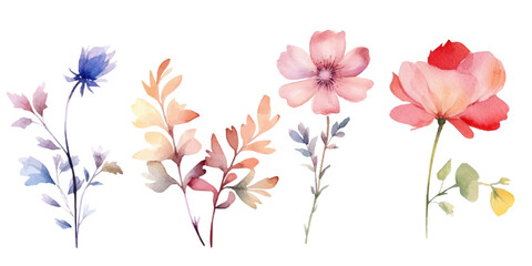 flowers in the form of a heart