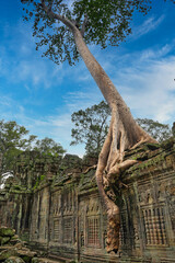Preah Khan - 12th Century temple built by Khmer King Jayavarman VII with typical Angkor style...
