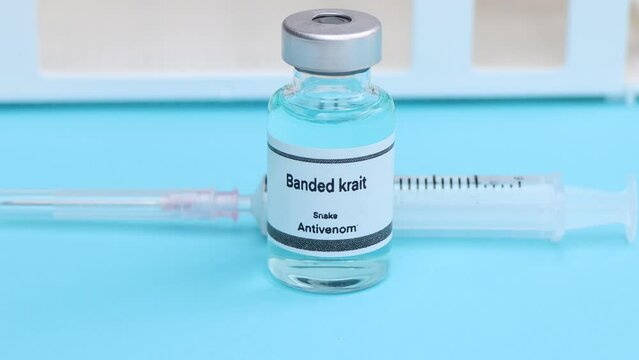 Banded krait, Snake antivenoms in a vial, Serum for injection to prevent venom from snake bites, science experiment