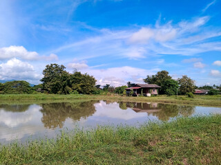 A Lone Wooden Retreat in Countryside Bliss