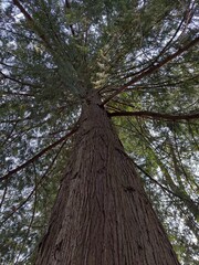 Looking from a different perspective 