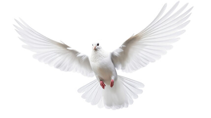 white dove flying on the transparent background - Powered by Adobe