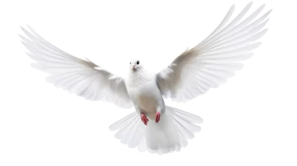 Fotobehang white dove flying on the transparent background © EmmaStock