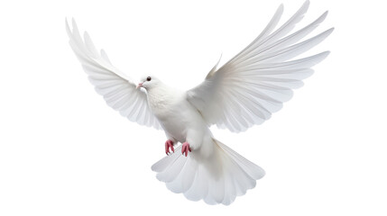 white dove flying on the transparent background - Powered by Adobe