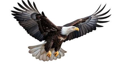 American Eagle is flying gracefully on a transparent background