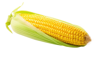 Corn on the transparent background