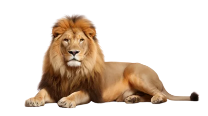 Raamstickers A lion on the transparent background © EmmaStock