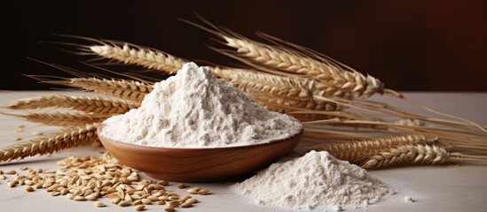 Whole grain and wheat flour Whole wheat flour - obrazy, fototapety, plakaty