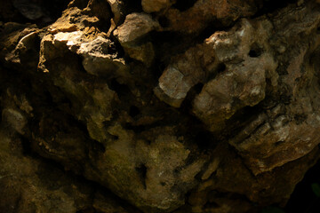 Close up of rock texture, nature background and copy space for add text.