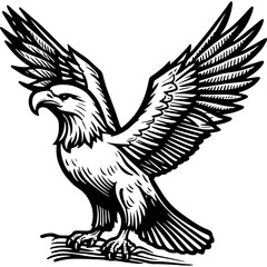 Eagle icon hand drawn vector design illustration