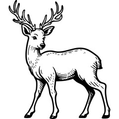 Deer icon hand drawn vector design illustration