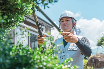 Rucksack 庭木を剪定する庭師・造園業・ガーデナー・植木屋・樹木屋の男性（ガーデニング）  © buritora