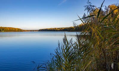 Autumn landscape near the water. The sky is reflected in the pond.