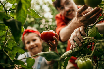Portrait of a happy father and daughter taking care of their veggie garden together - obrazy, fototapety, plakaty