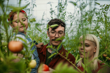 Father growing organic vegetables with children and wife at farm