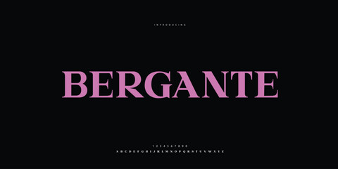 Elegant Font Uppercase Lowercase and Number. Classic Lettering Minimal Fashion Designs. Typography modern Serif fonts regular decorative vintage concept. vector illustration