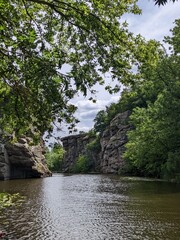 river in the forest