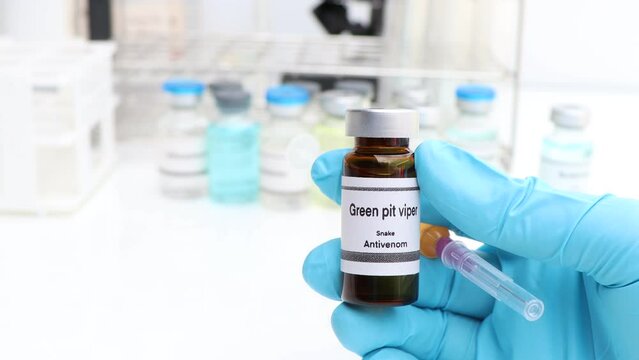 Green pit viper, Snake antivenoms in a vial, Serum for injection to prevent venom from snake bites, science experiment
