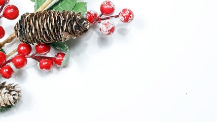 Christmas branch on white background