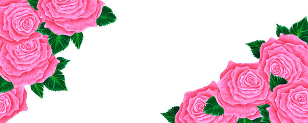 Hand drawn watercolor pink rose banner border isolated on white background. Can be used for banner, decoration and other printed products.