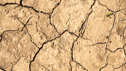 Climate change in the soil. Dry soil. The impact of global warming on soil.