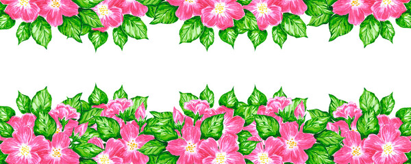 Hand drawn watercolor pink apple blossom banner border isolated on white background. Can be used for banner, decoration and other printed products.