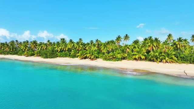 Bottom Bay, Barbados - Paradise beach on the Caribbean island of Barbados. Tropical shore with palm trees hanging over the turquoise sea. A picturesque view of a beautiful landscape.