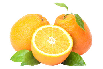 Fruit orange  isolated