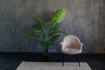 Office chair and green palm tree in grey room interior