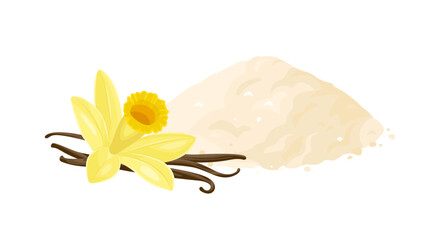 Vanilla powder, flower and vanilla sticks isolated on white background. Vector cartoon flat illustration.