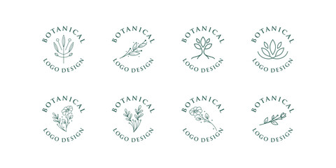 Set of Feminine Botanical logos in simple minimal line style. Vector floral logo