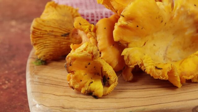 plusieurs girolles fraiches, en gros plan