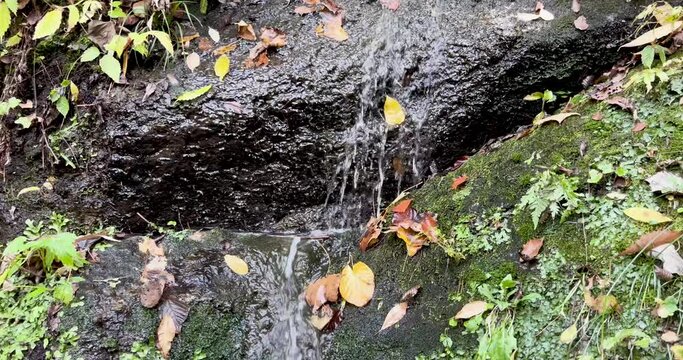 Spring water flowing from the mountains of Naruko Town, Miyagi Prefecture, Japan