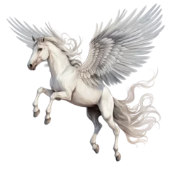 Fototapeten Pegasus horse with wings flying up © Natural PNG