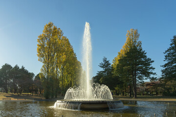 Fototapeta premium 彩の森入間公園／青空と紅葉を背景にした噴水／日本埼玉県