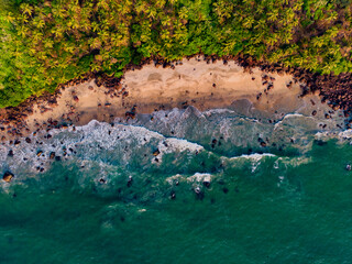 Aerial view of waves hitting a clean beach with tall trees