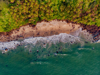 Aerial view of waves hitting a clean beach with tall trees