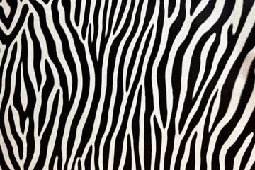 Foto op Canvas linear design of zebra hind skin © Natalia