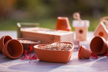 Birds food on the garden table