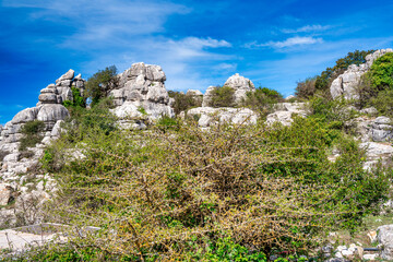 Fototapeta na wymiar Karst landscape of Torcal de Antequera in Andalusia. Large valley with Mediterranean vegetation surrounded by vertical limestone rock walls
